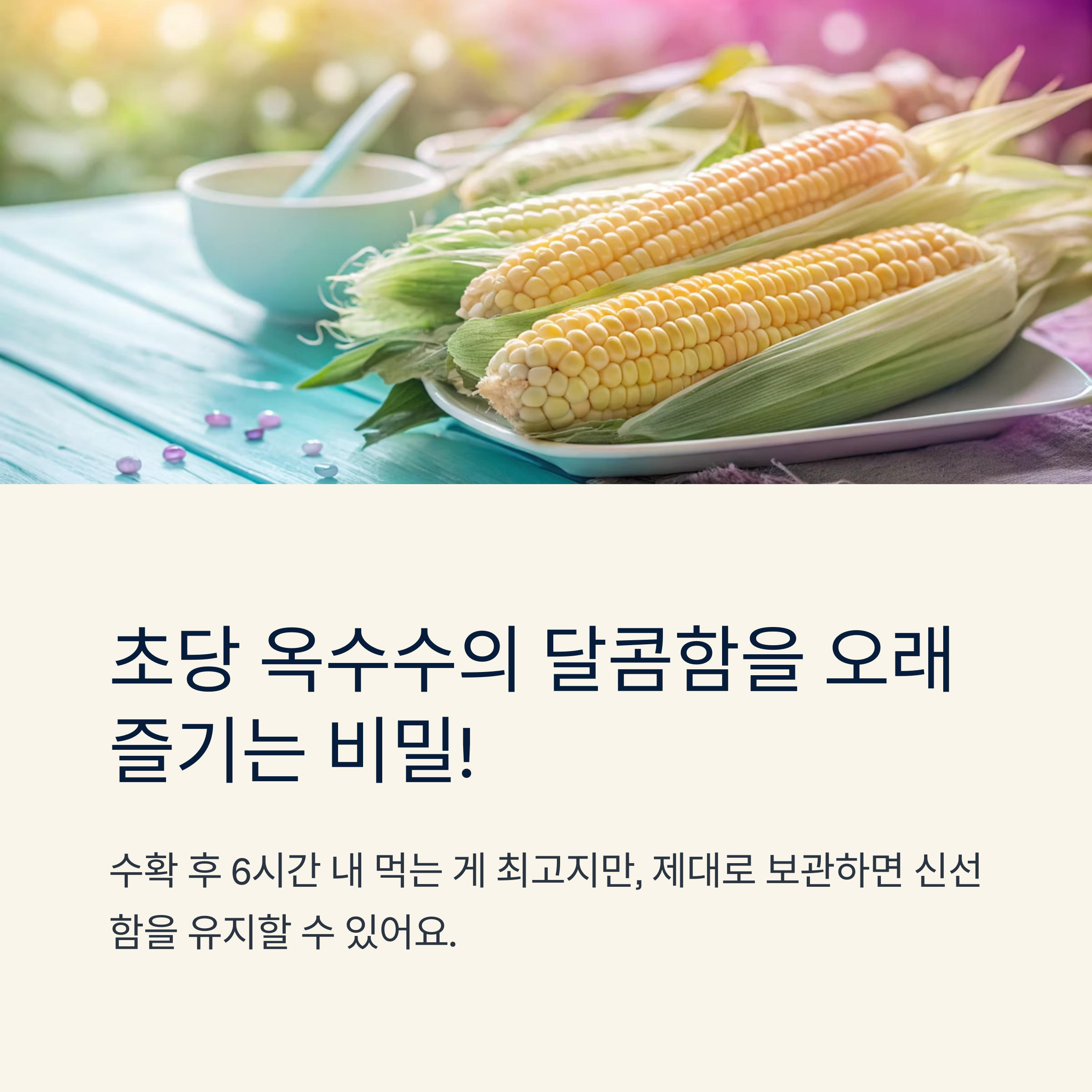 초당 옥수수 보관법 쉽게 신선하게 유지하는 팁