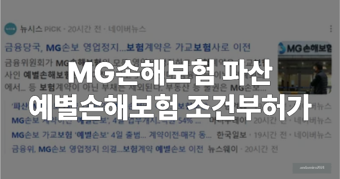 예별손해보험 조건부 허가 이미지