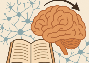 반복학습이 뇌 신경회로를 강화하는 과학적 메커니즘