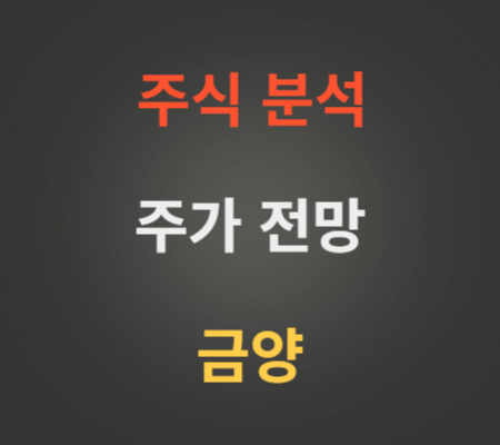 금양 주가 전망 분석