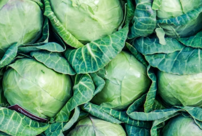 항산화 뜻&amp;#44; 활성산소 제거