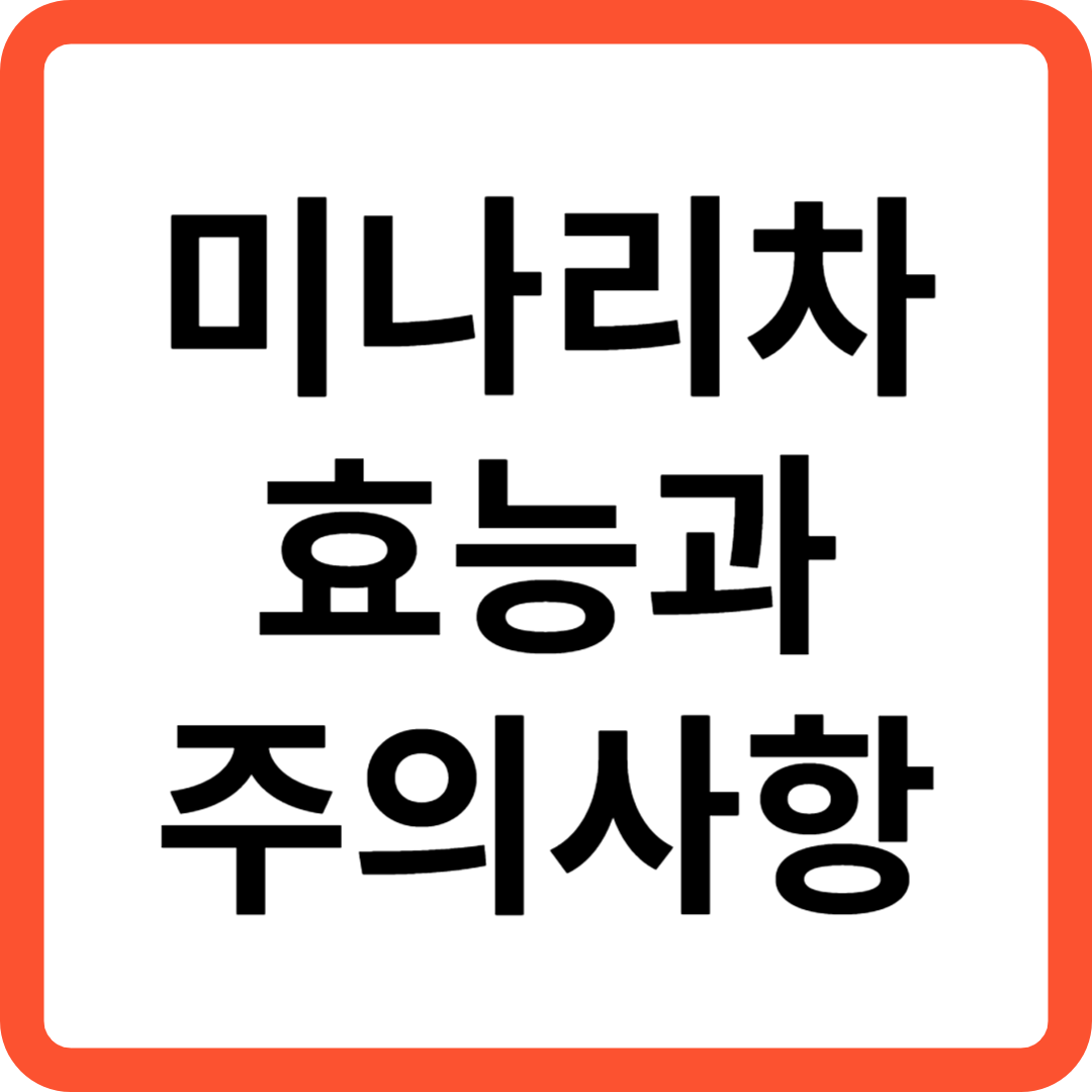 미나리차 효능과 주의사항