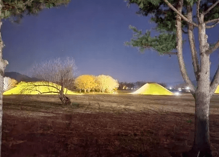 첨성대-야간가는길