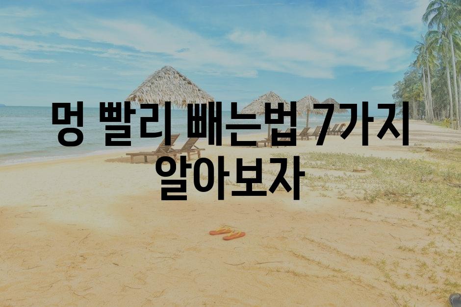 샘플 (87)
