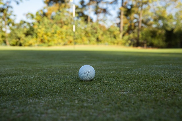 페어웨이에 잘 안착한 골프공