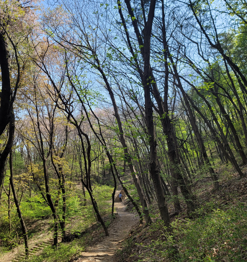 서울 안산 자락길