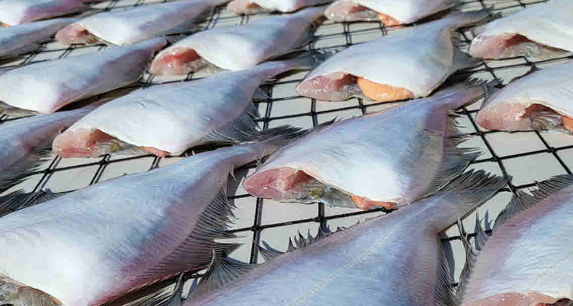 제철맞은알가자미