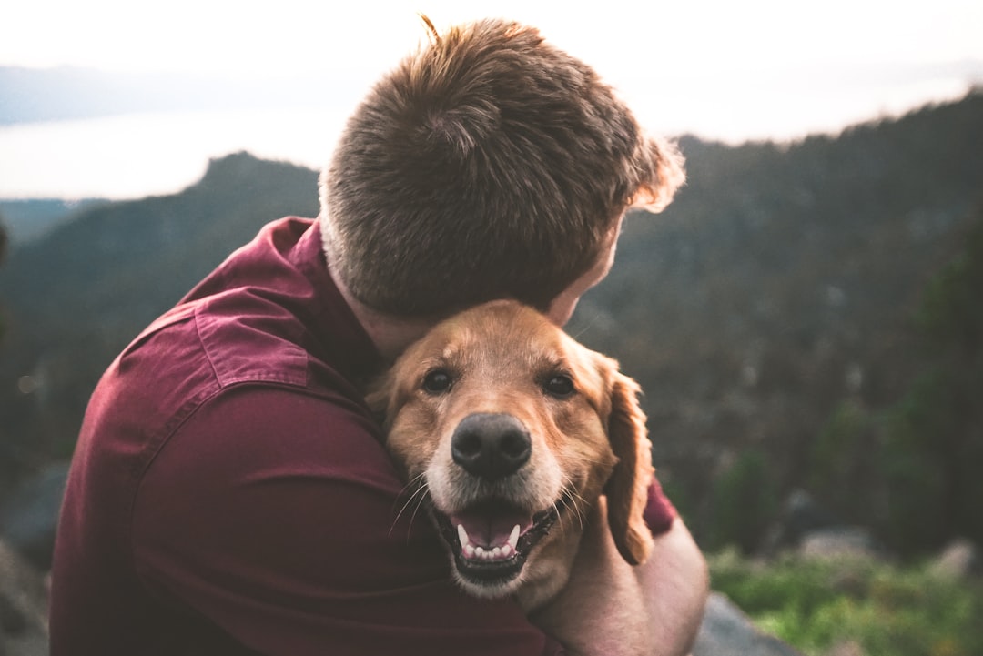 Adoption