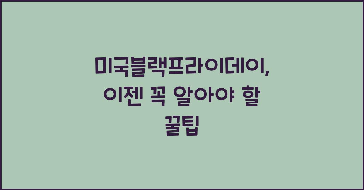 미국블랙프라이데이