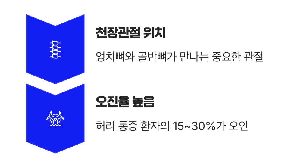 범인은 허리가 아닐 수 있어요