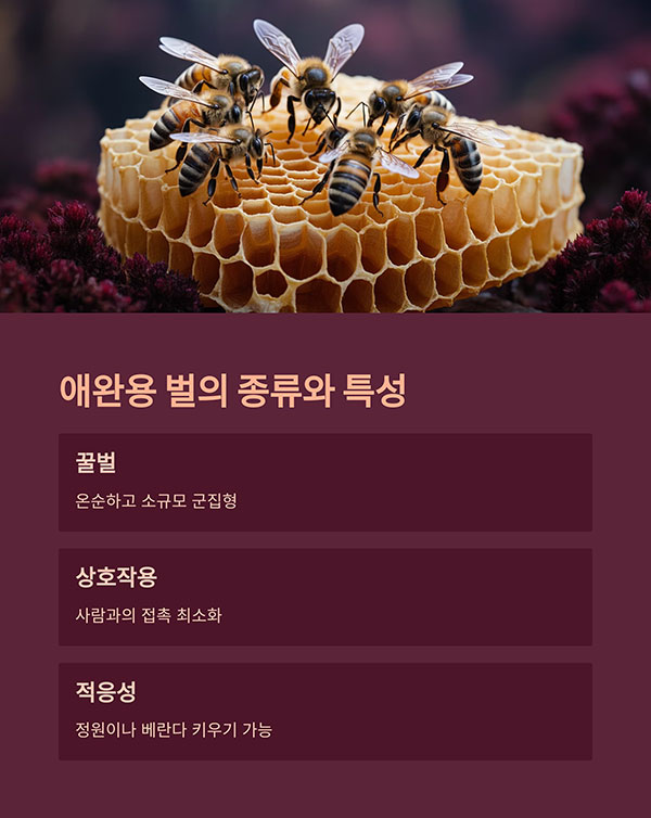 애완벌의 종류와 성격 이해하기