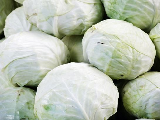 양배추즙 효능