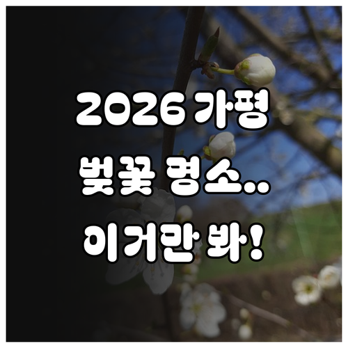2026년 가평 벚꽃 나들이 정보 개..
