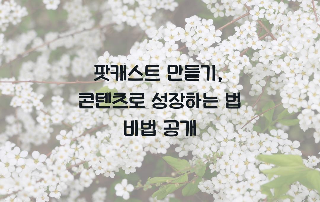 팟캐스트 만들기, 나만의 콘텐츠로 성장하는 법