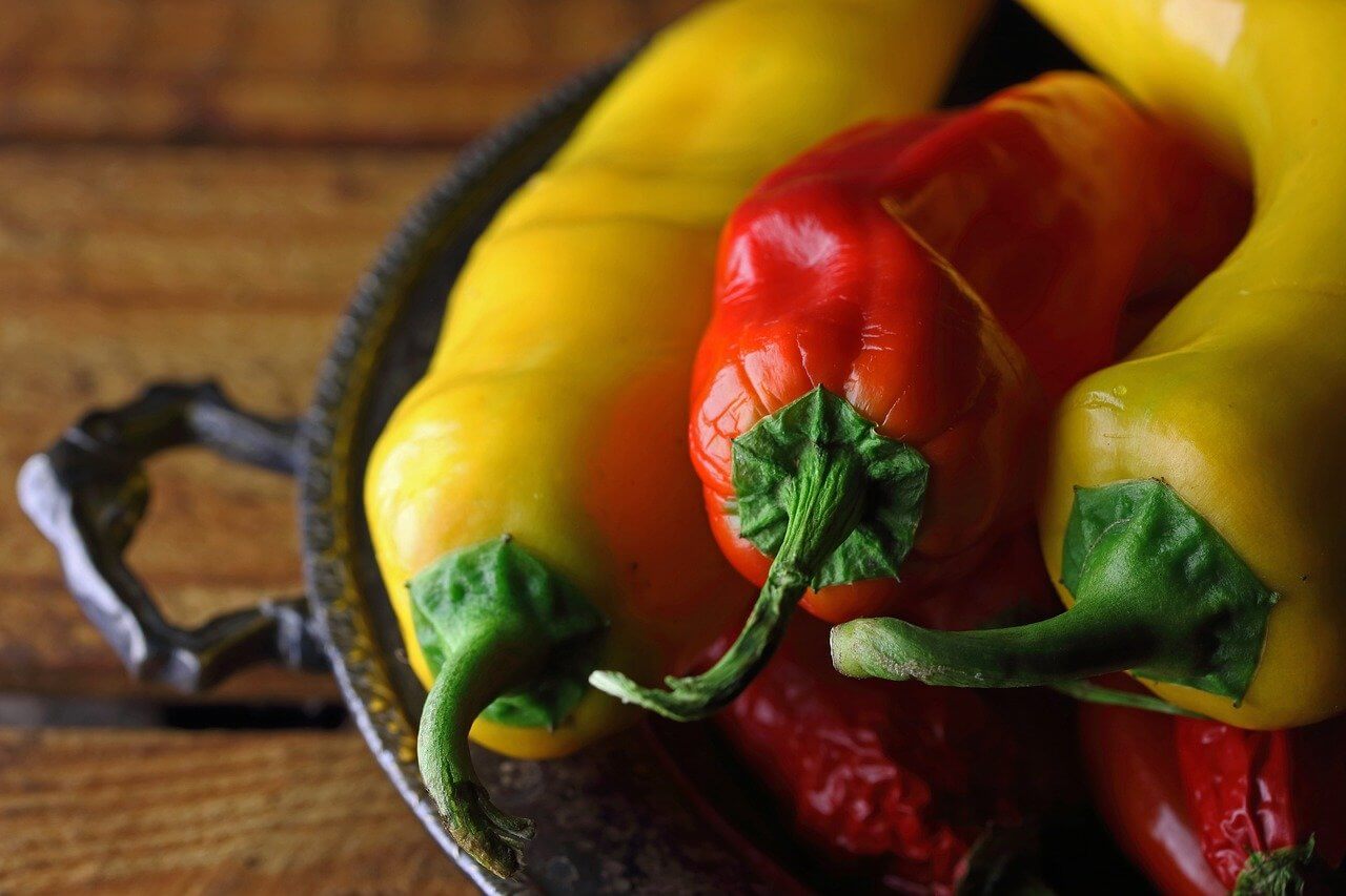 늦게 수확하면 손해 보는 텃밭 작물 수확 시기 가이드