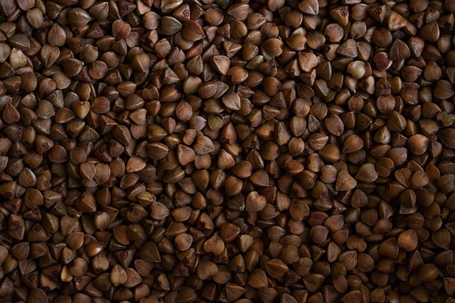 흑메밀 효능과 조리법