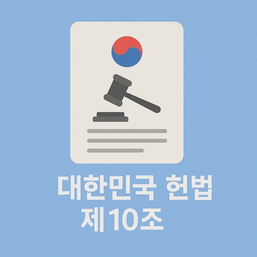 대한민국 헌법 제10조 섬네일