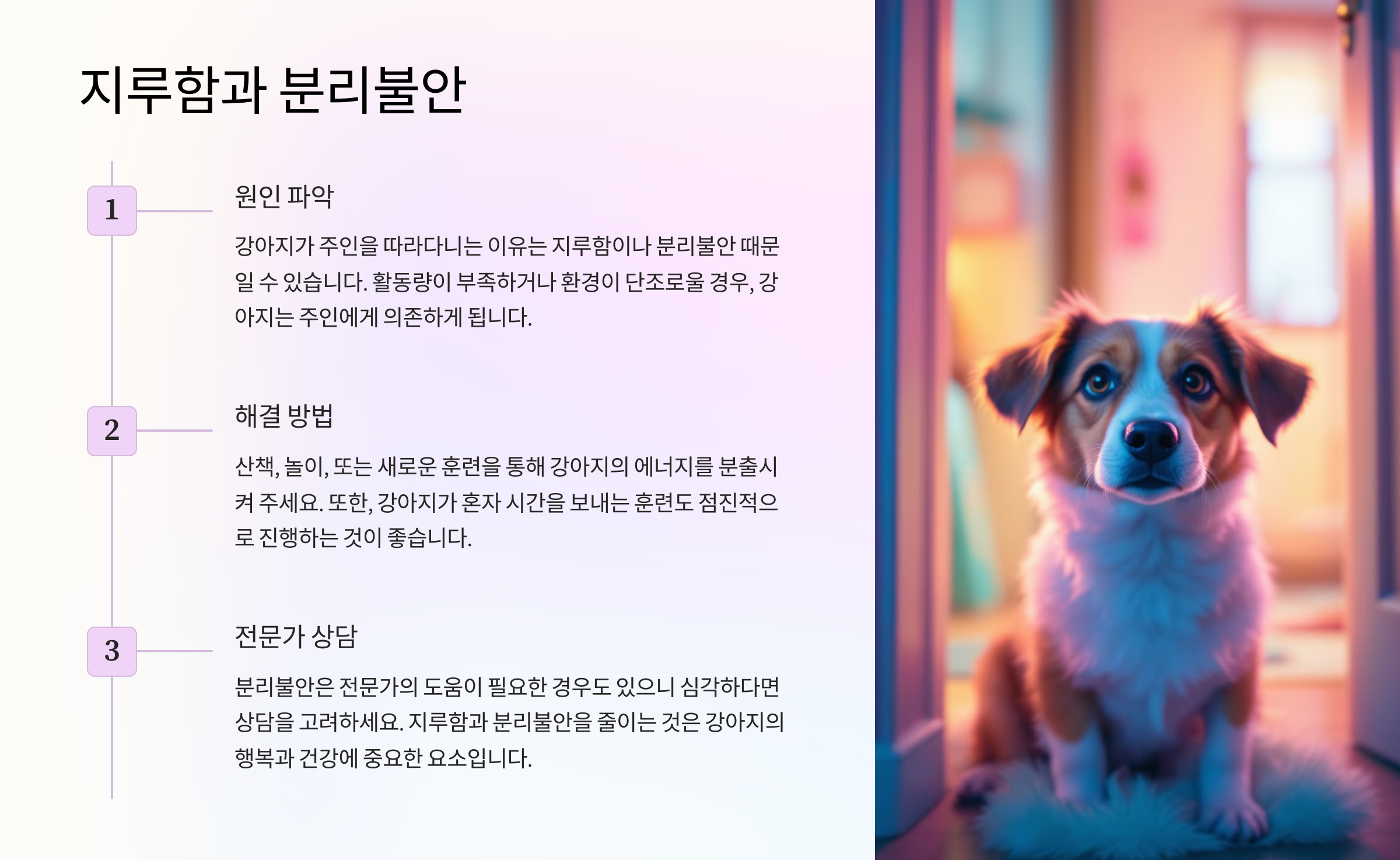 지루함과 분리불안