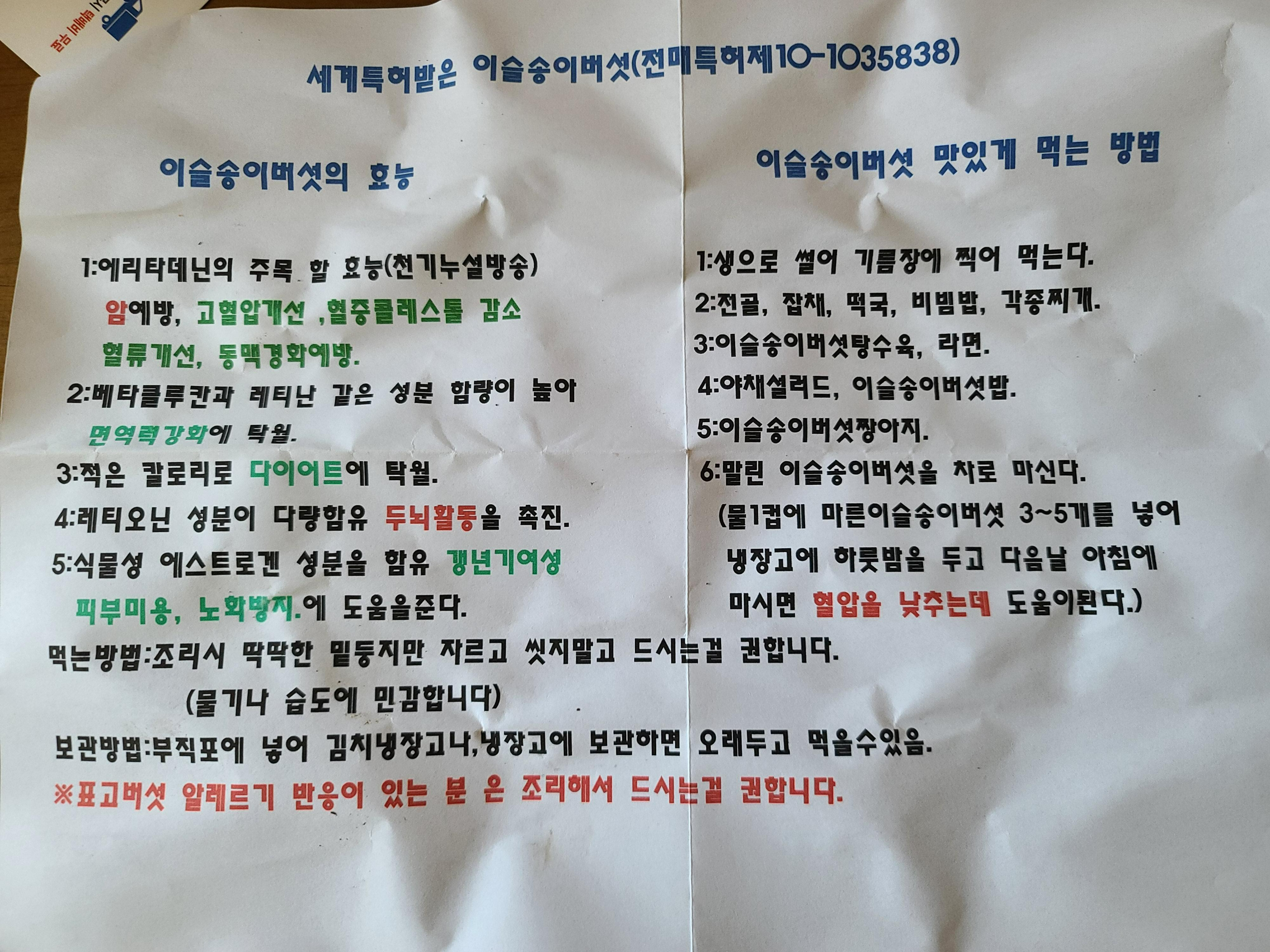 손님을 아쉬워하는 호야. 알고보니 접대냥. (feat.이슬송이 버섯)