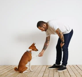 간식 낮게 주기