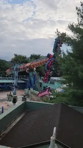 회전하고-있는-렛츠-트위스트