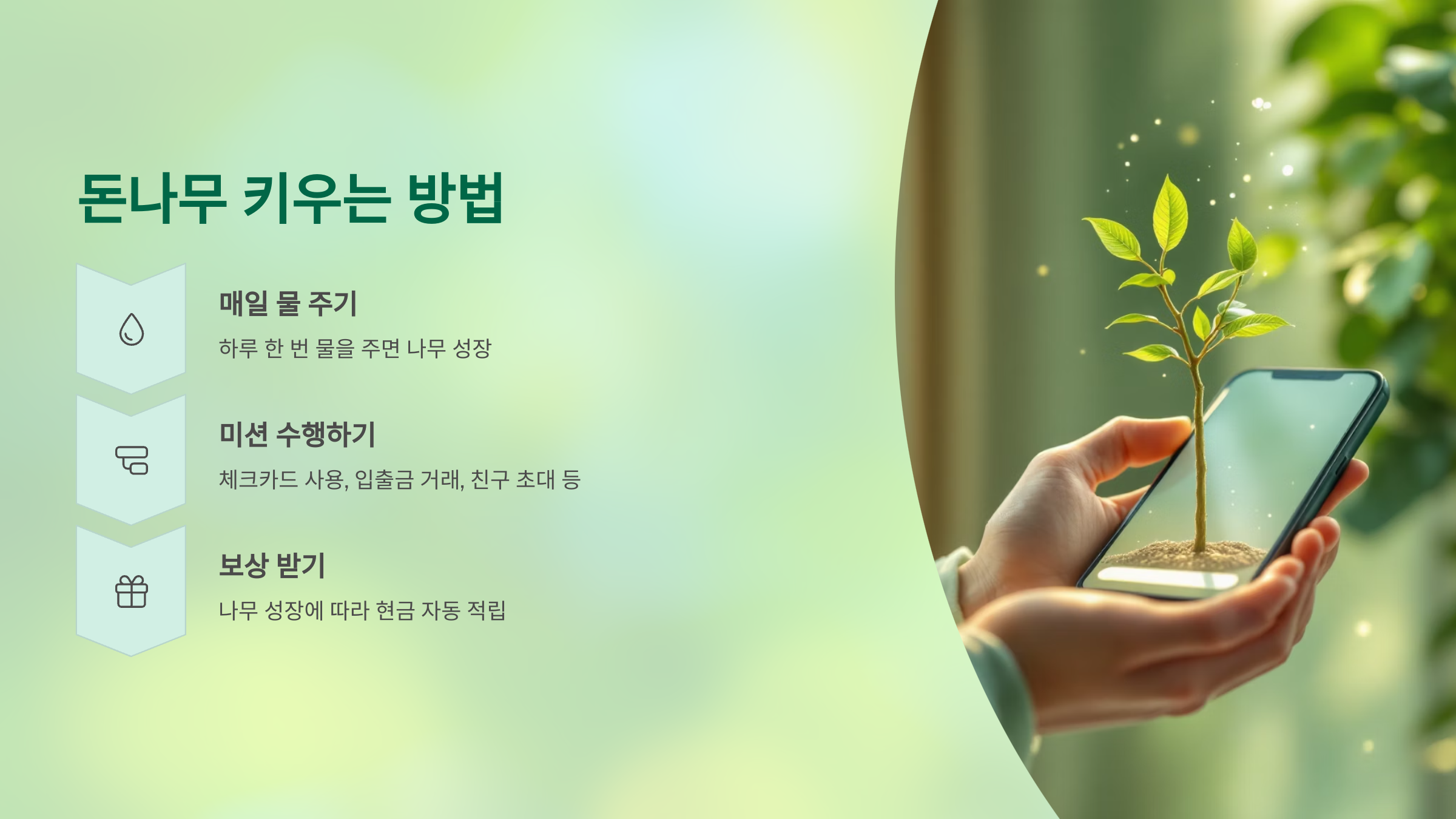 케이뱅크 돈나무