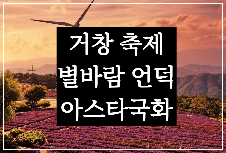 가을의 낭만, 거창 축제 별바람언덕 보랏빛 아스타국화의 향연