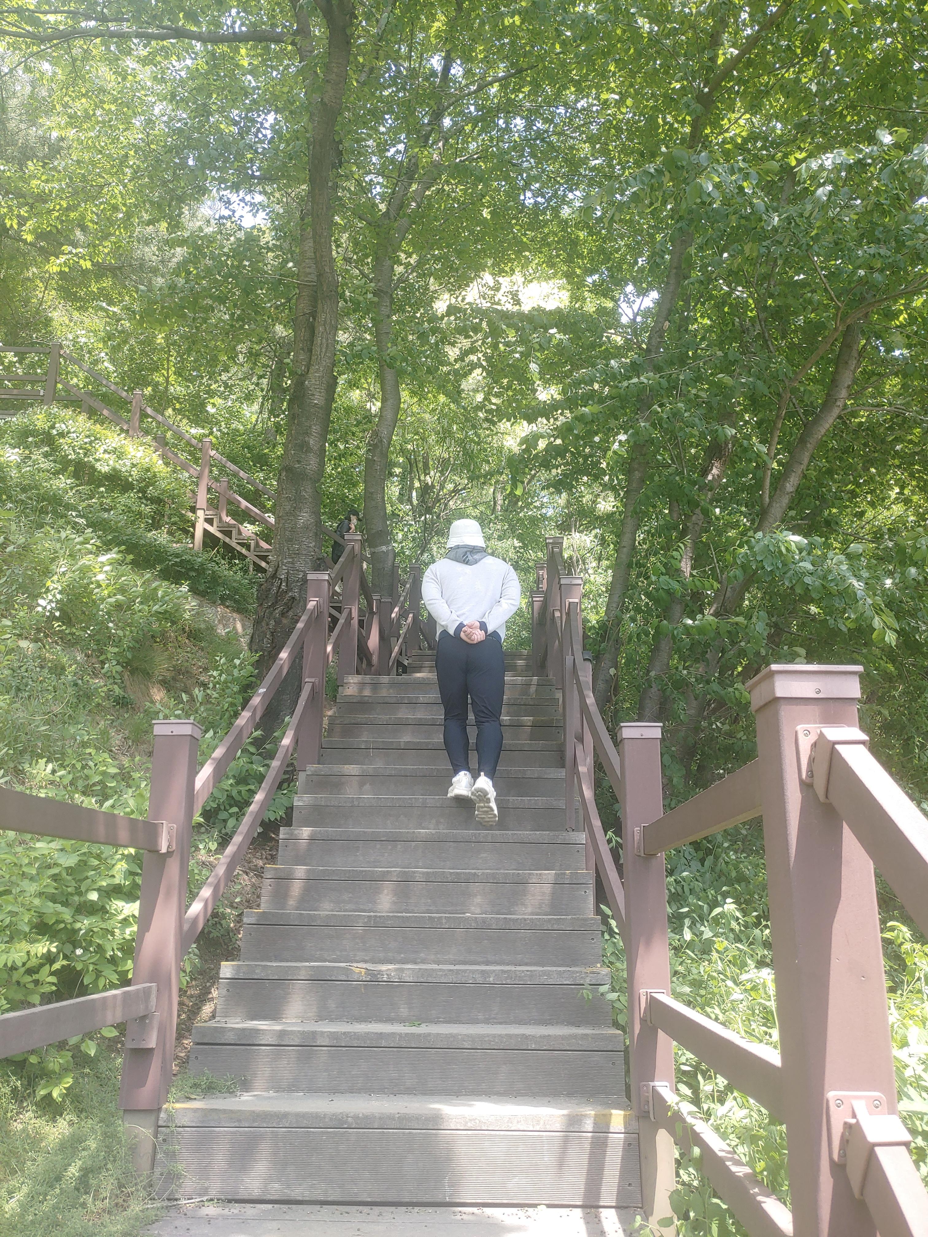 등산 다이어트 효과