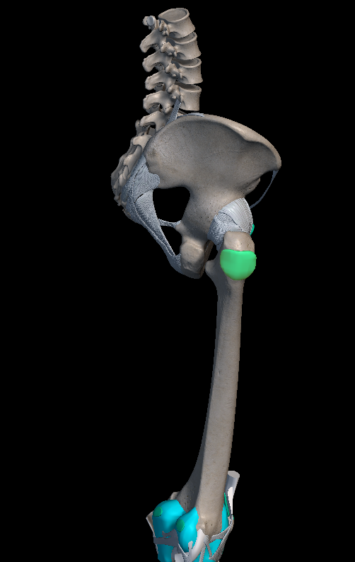 고관절 통증 원인 증상 치료법