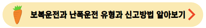 보복운전과-난폭운전-유형과-신고방법-알아보기