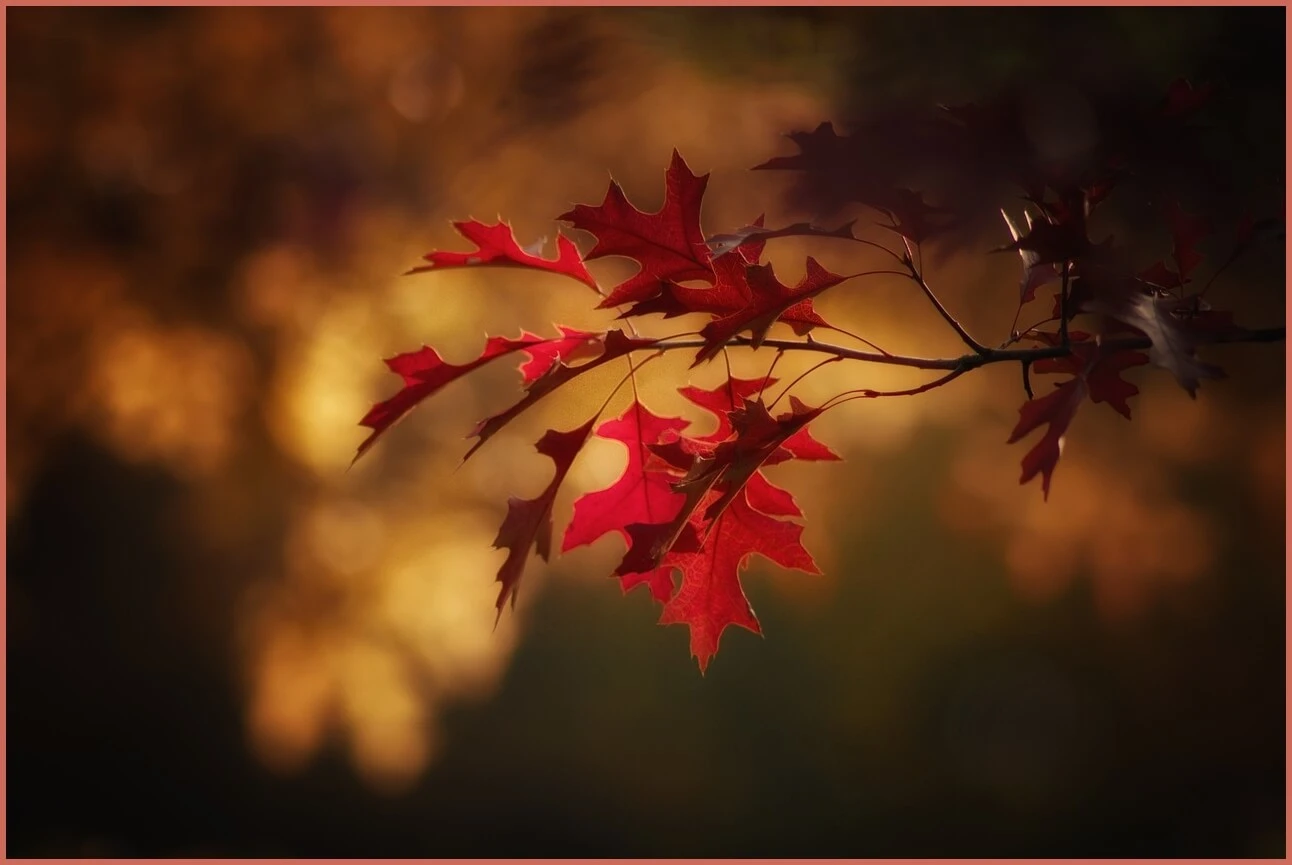 정기예금 금리 가장 높은곳