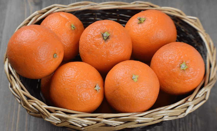 폐에 좋은 음식