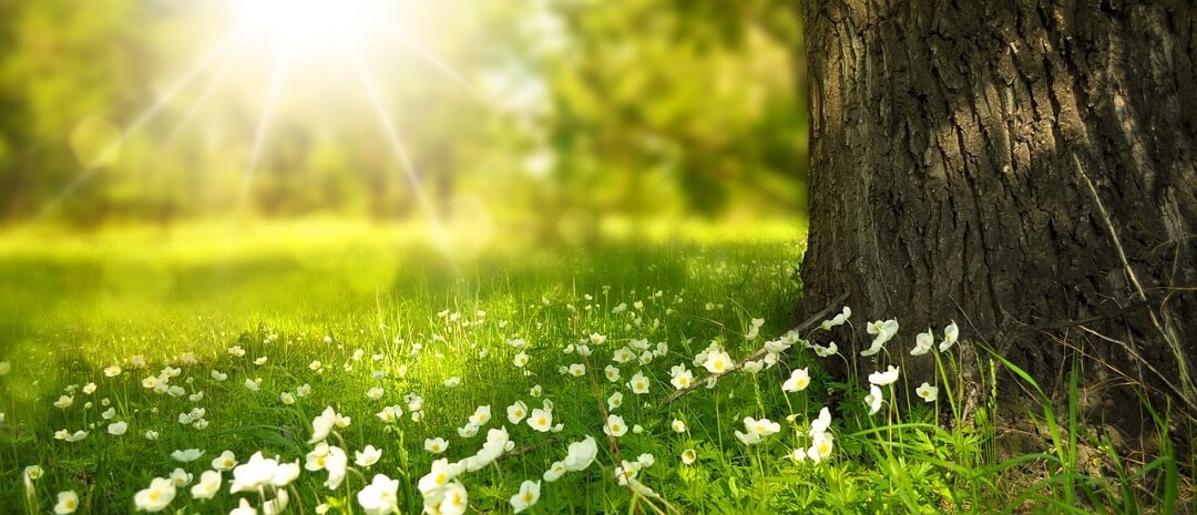 입하, 여름의 시작