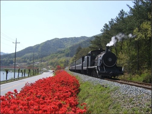 섬진강기차마을 사진