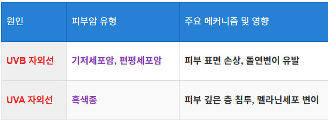 자외선과 피부암의 관계