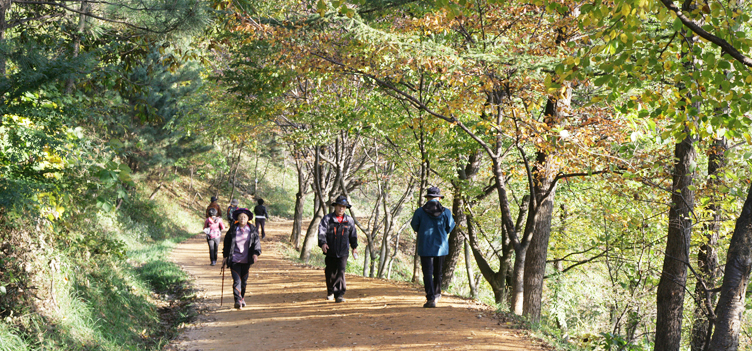 계족산_황톳길1