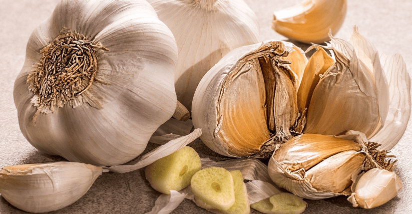 마늘 사진