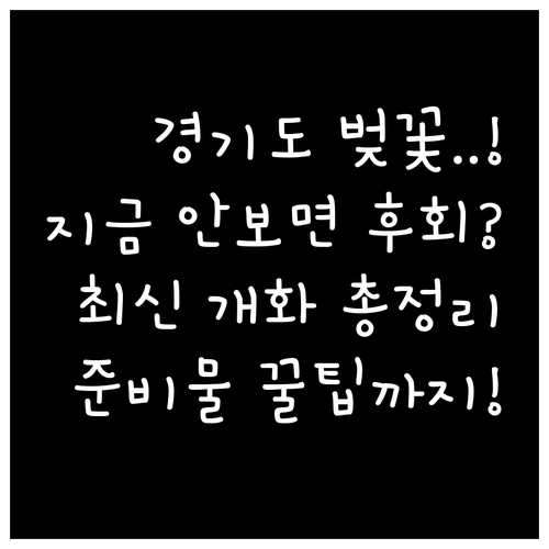 경기도 주요 지역 벚꽃 개화 시기 및..