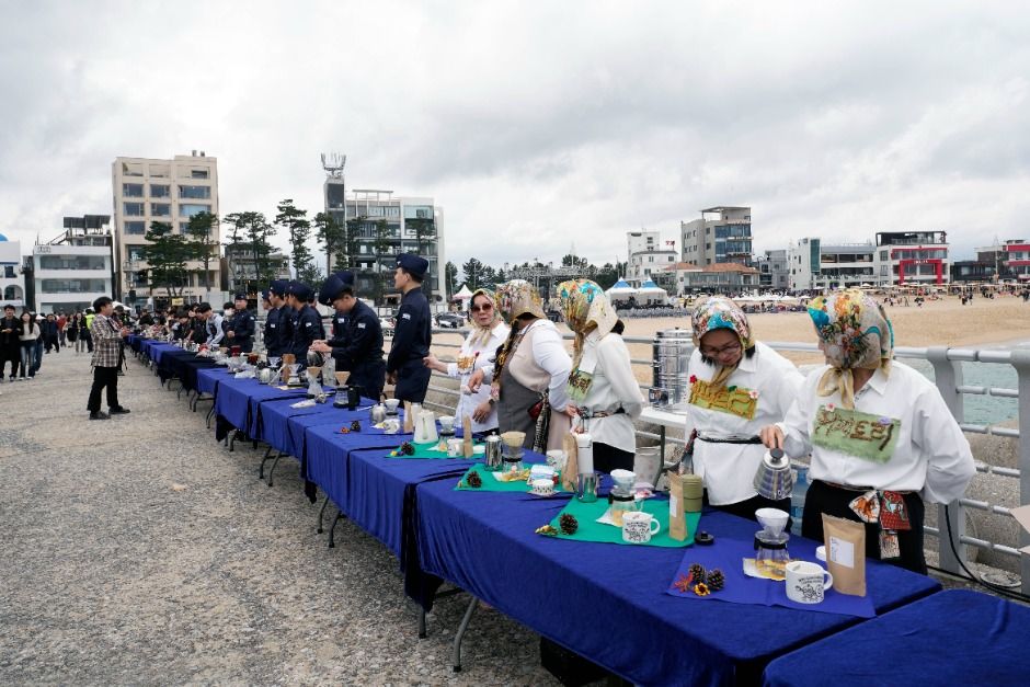 2025 강릉커피축제☕ 일정 및 프로그램 총정리