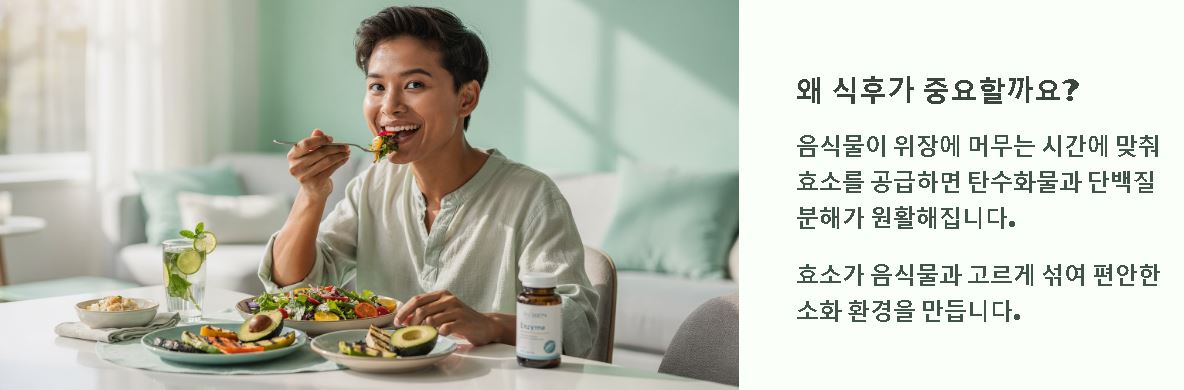 카무트 효소 먹는법