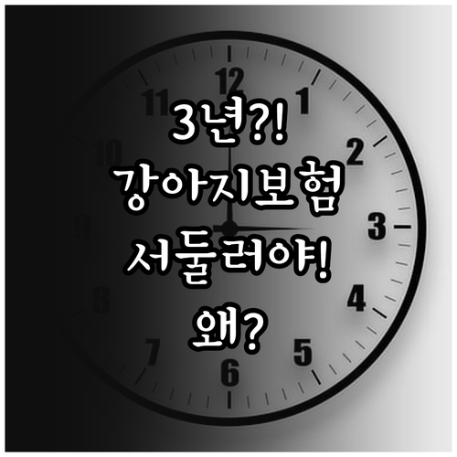 강아지 보험 청구 기간 3년, 서둘러..