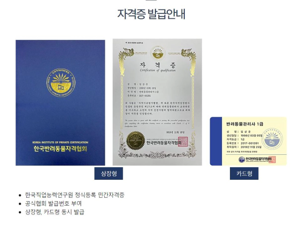 반려동물 장례지도사 자격증 유망 직업 추천 정보