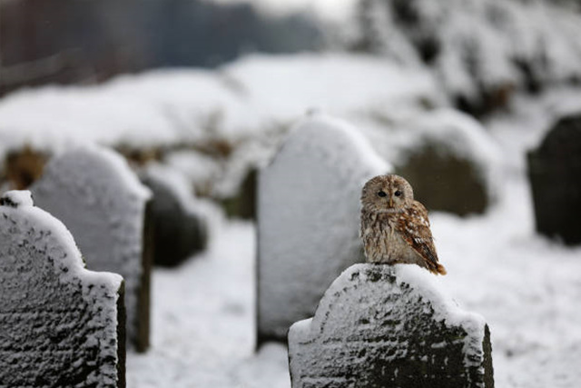 ‘물’로 장례를? 인체 액화 기술(Alkaline Hydrolysis)의 원리와 쟁점