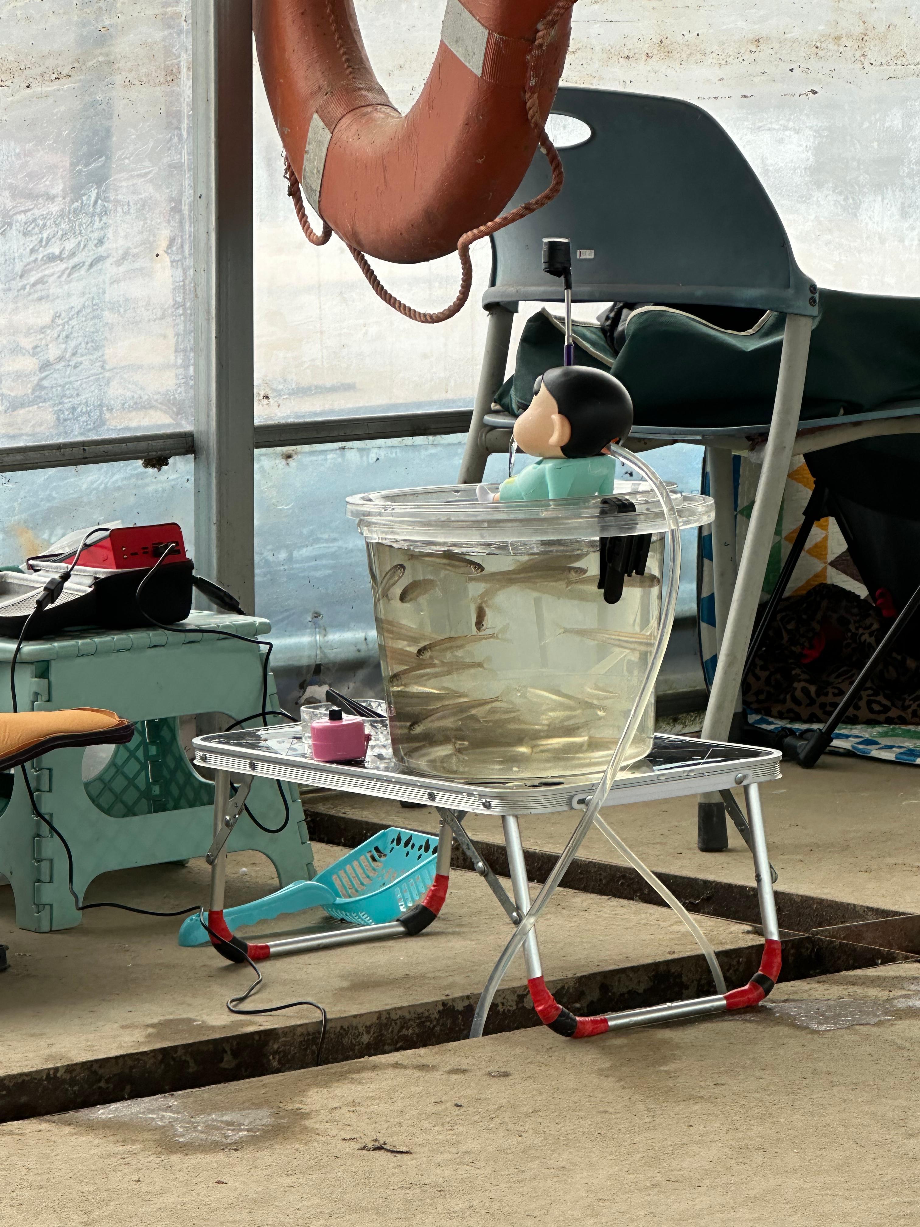 빙어 낚시 사진