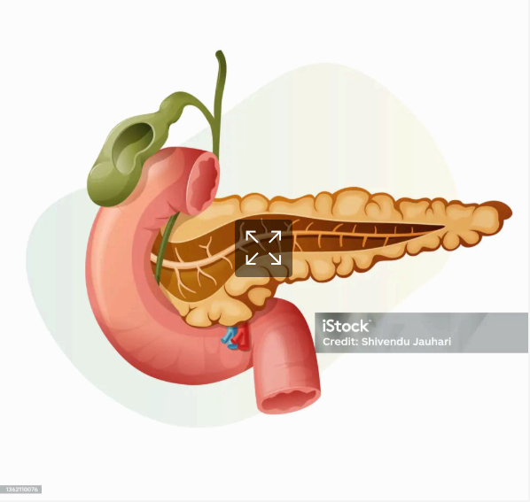 췌장암 검사 : CA19-9·CEA·아밀라제 해석
