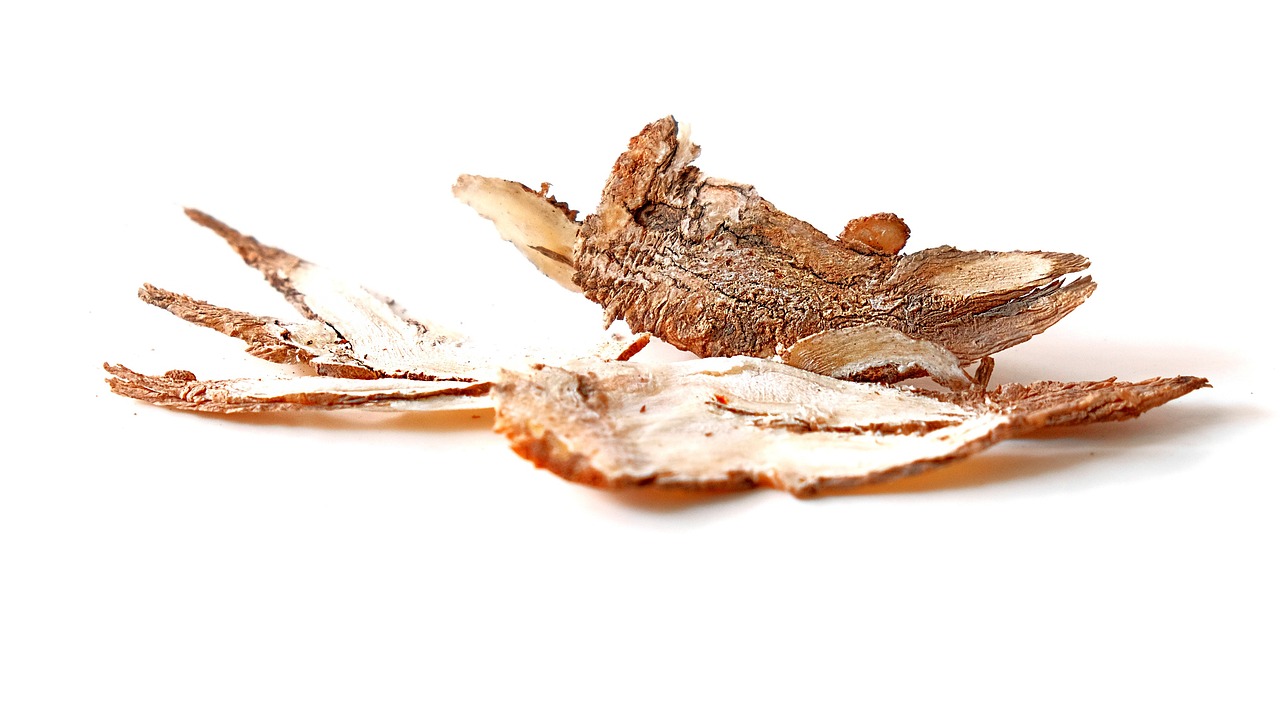 참당귀 황귀 관련사진