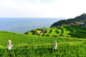 남해여행 가볼만한 곳 베스트10_ 04. 남해 다랭이마을 (포토존, 체험, 산책로)