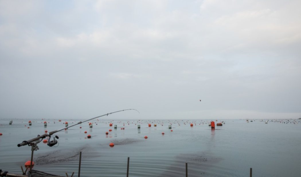 실전에서 유용한 낚시 노하우