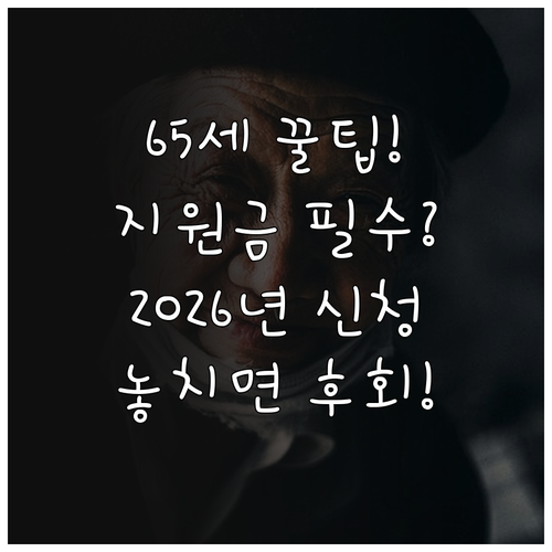 만65세 이상 스포츠 지원금 2026..