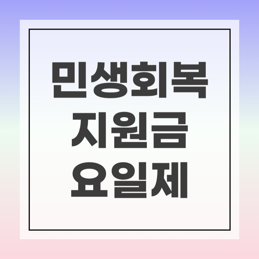 민생회복지원금 생년월일